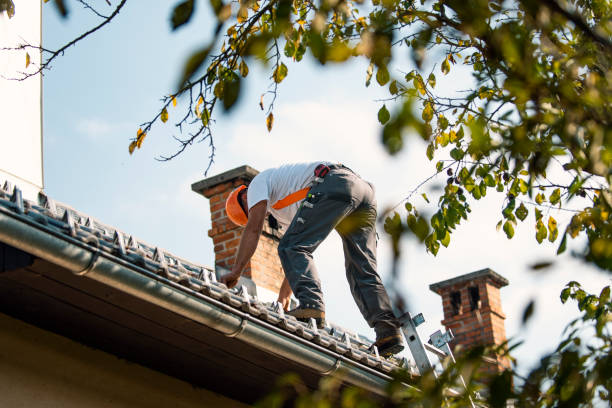 Best Roof Leak Repair  in Cedar Bluff, VA