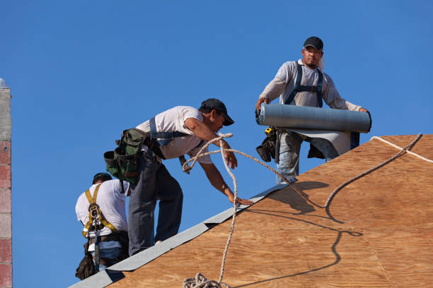 Professional Roofing Contractor in Cedar Bluff, VA