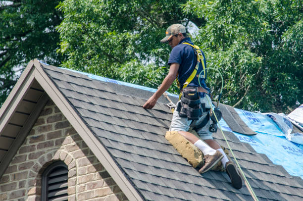 Best Roof Leak Repair  in Cedar Bluff, VA
